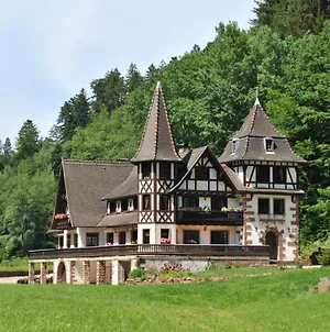 Villa Le Saint moulin de La Petite Pierre à Lohr Exterior photo