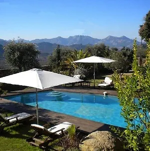 Villa Luxury 270M² House Of Character In Old Stones With Heated Pool, Near Calvi à Calenzana Exterior photo