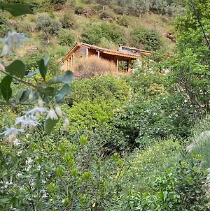 Villa Sirince Magara Deresi Evleri. à Selçuk Exterior photo