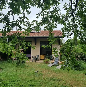 Villa El Correc Laroque-des-Albères Exterior photo