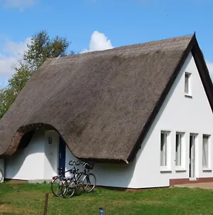 Doppelhaushalfte In Vitte Auf Hiddensee Exterior photo