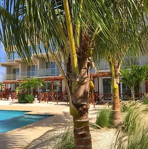 Large Luxury apartment on Palm Beach Exterior photo