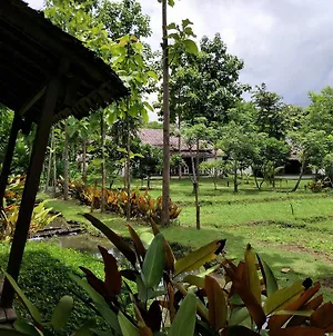 Villa Huen Muang Pai Exterior photo