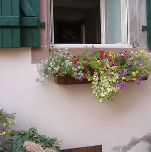 charmant petit appartement en Alsace Bouxwiller  Exterior photo