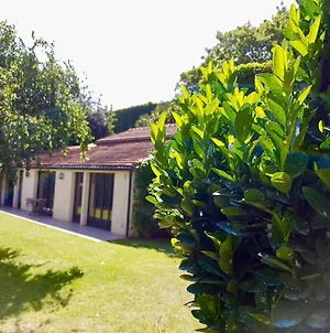 Appartement Le Jardin Secret à Joinville Exterior photo