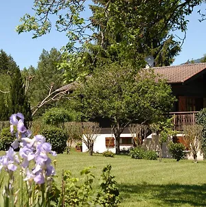 Villa Chalet de la Fressine à Alex Exterior photo
